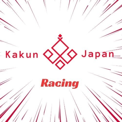 SUZUKI OEM 12760-19F01 SV650/A VSTROM 650 CAM TIMING CHAIN From Japan - Picture 5 of 5