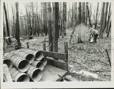 1984 Press Photo Leonard Gould, Andrea York, Tom Jenks & Eric York in Shelburne