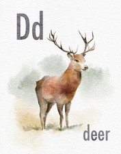 BN Set of 26 animal themed alphabet ABC flash cards - baby shower gift, nursery