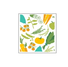 Ritz Swedish Dish Cloths 2 Pack - Produce Toss EARTH FRIENDLY