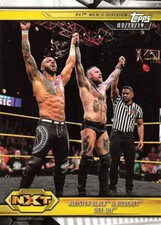 2019 Topps WWE NXT #82 Aleister Black & Ricochet Def. DIY