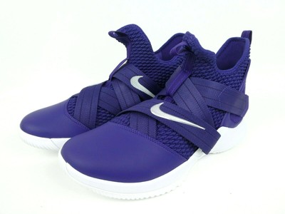 lebron soldier 12 lakers