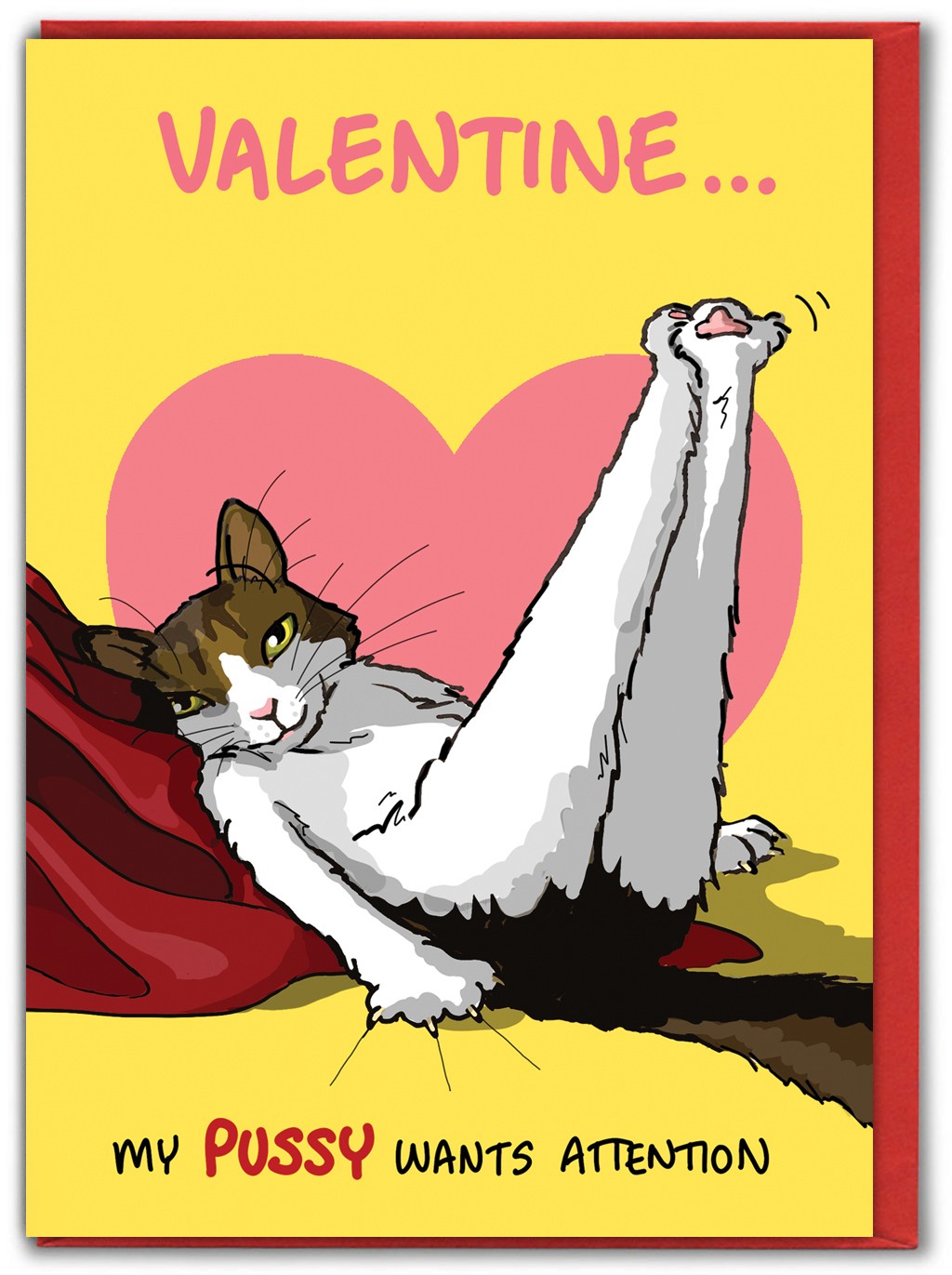 Funny Valentines Card For Him Her Rude Pussy Pun Cheeky Cartoon Comedy Humour