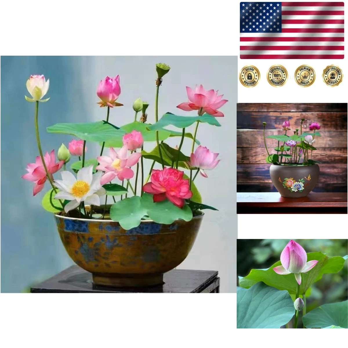 decorative indoor plant stakes Plant Stick | Plant Stake For House Plants| Plant Accessories