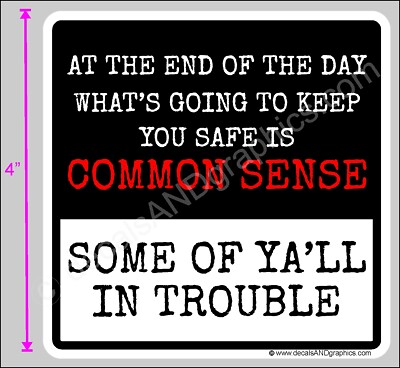 TRUMP 2020 STICKER COMMON SENSE ANTI DEMOCRAT MAGA DEPLORABLE DECAL | eBay