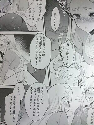 The Legend of Zelda Doujinshi Mob x Link , Zelda x Link (B5