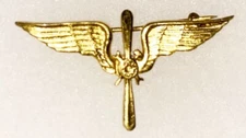 Portuguese Air Force Flight Mechanic Badge