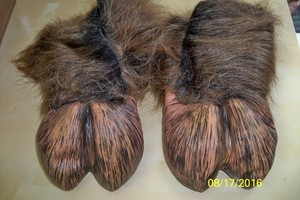 hoof shoe covers