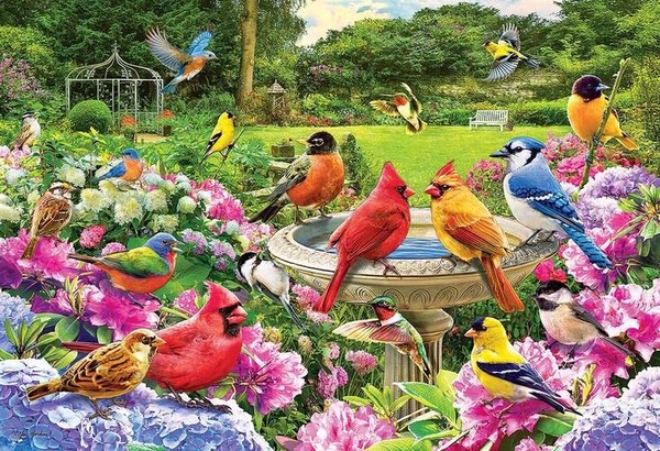 Puzzle (2000 T.) Treffpunkt Der VöGel (Eurographics) Neu/Ovp-image