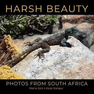 Harsh Beauty: Photos from South Africa by Keijo Kangur Paperback Book