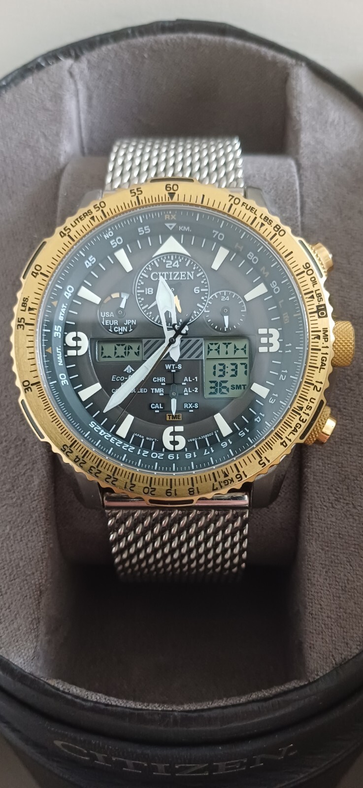 Pilot Watch Citizen Navihawk Leather Band Citizen Promaster