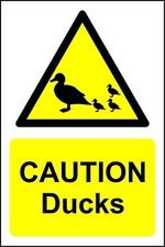 Caution ducks warning Safety sign
