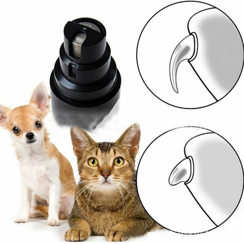 Broyeur à ongles pour chien chat accessoire de toilettage sans douleur USB