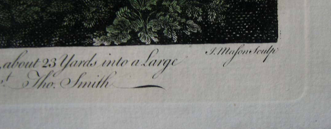 Picture 4 of 6