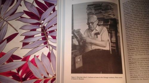 African Presence in Early Asia: Ivan Van Sertima Runoko Rashidi + Event Brochure - Picture 8 of 12