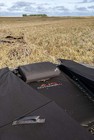 Picture 5 of 6