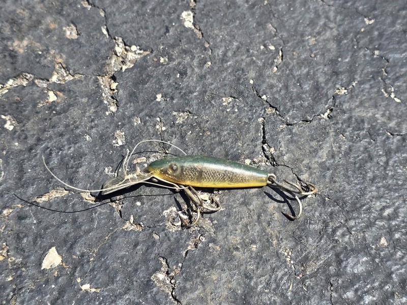 Vintage Fishing Lure Diver