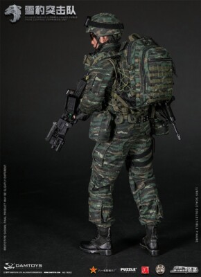 【DAMTOYS】78052 1/6 CHINESE PEOPLE&#39;S ARME s-l1200.jpg