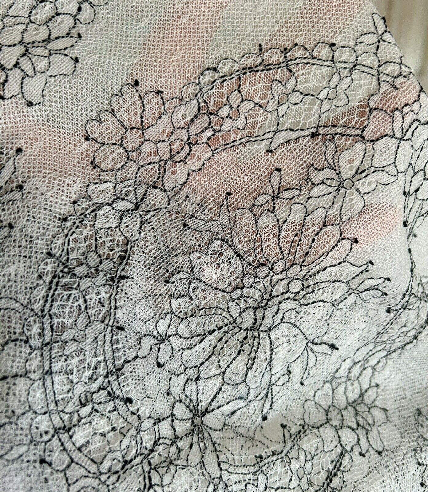Picture 7 of 7