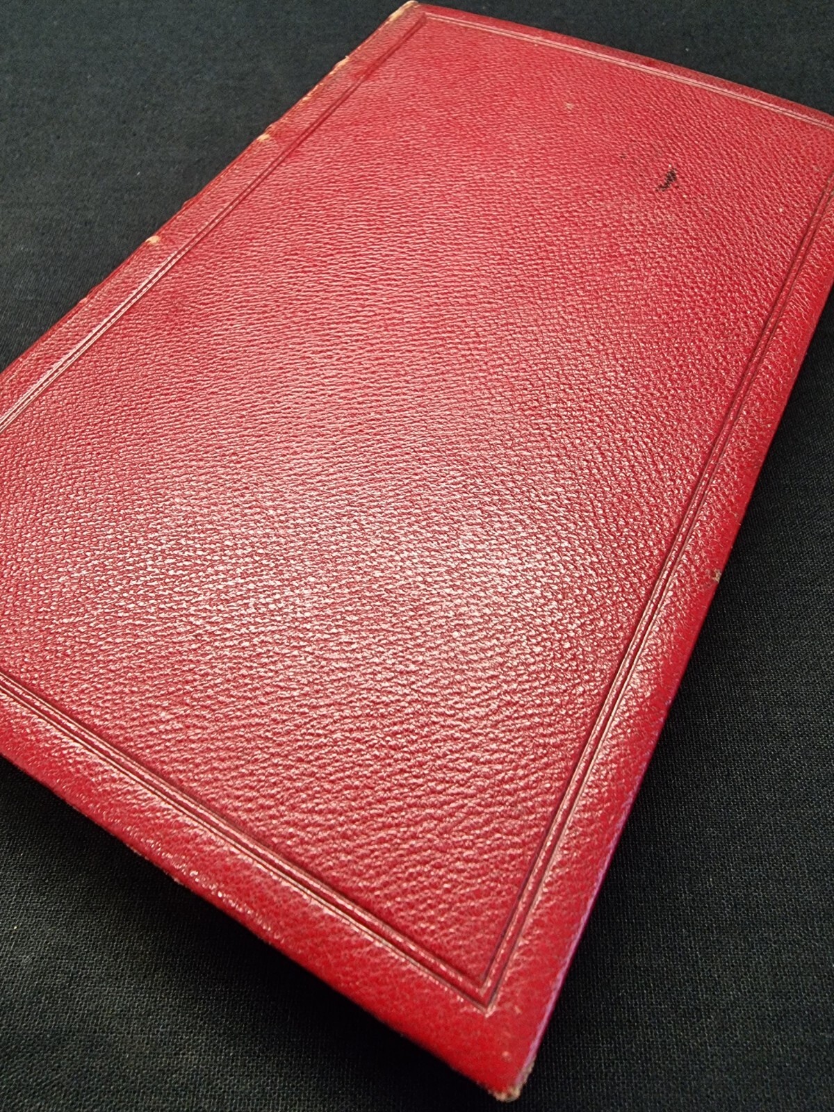 Picture 6 of 15