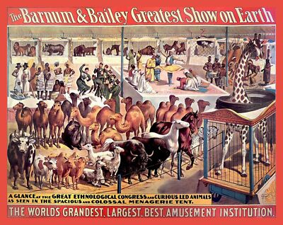 Decoration Poster.Home room art.Interior design.Barnum Circus animals.Zoo.7410
