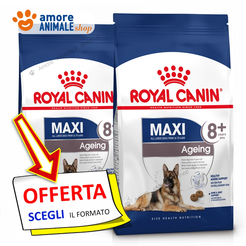 Royal Canin Dog → Adult MAXI AGEING 8+ - 3 / 15 kg - Crocchette Cane, Secco Cani