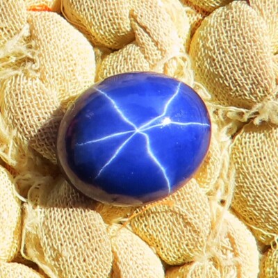 Rare 8.35CT 10X14X5mm Natural Six Rays Blue Star Sapphire Oval Cabochon Gemstone