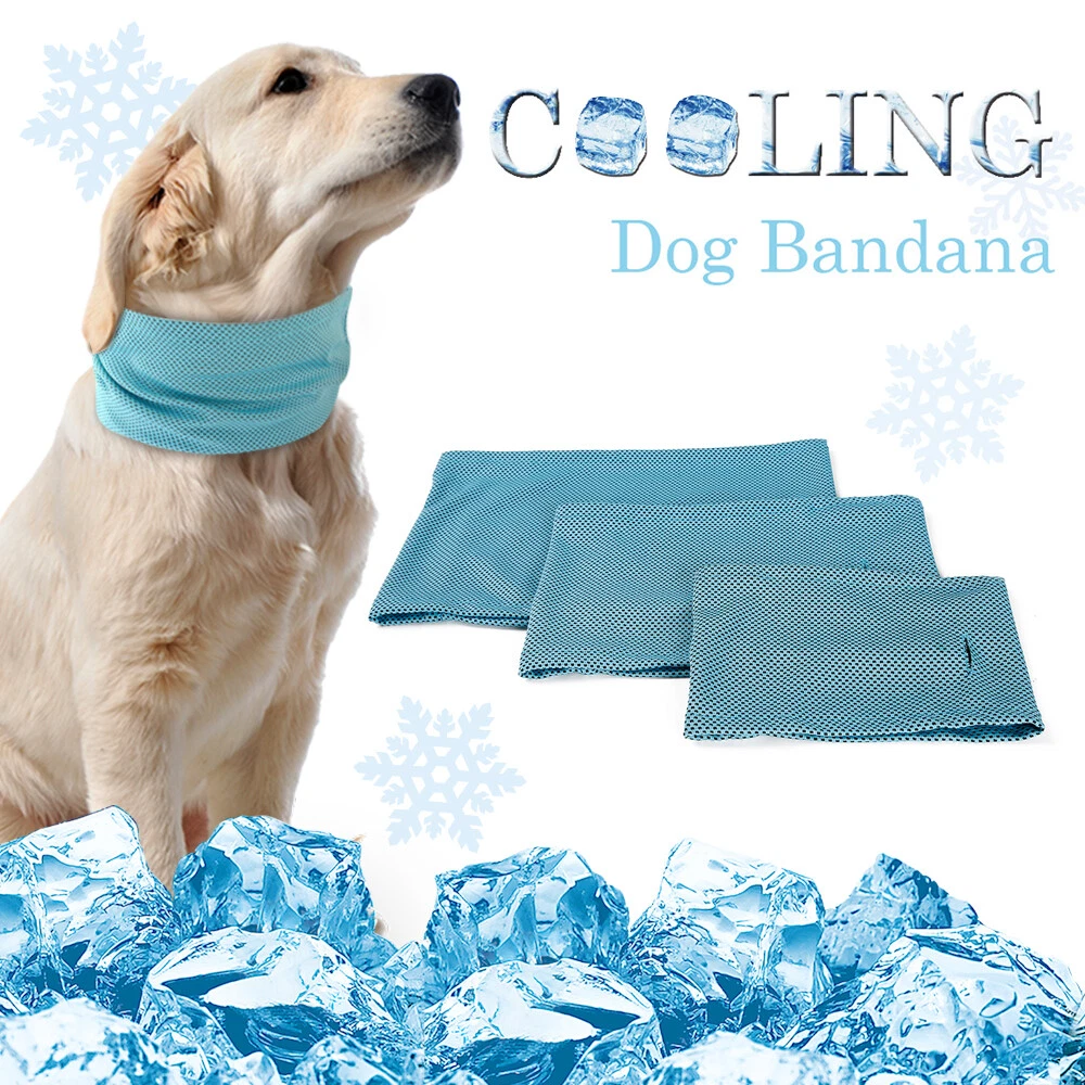 Cooling scarf hotsell for dogs