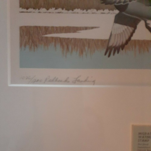 STANLEY STEARNS Maryland 1978 "Redheads Landing" LE S/N GERAHMTER DRUCK MIT BRIEFMARKE - Bild 5 von 7