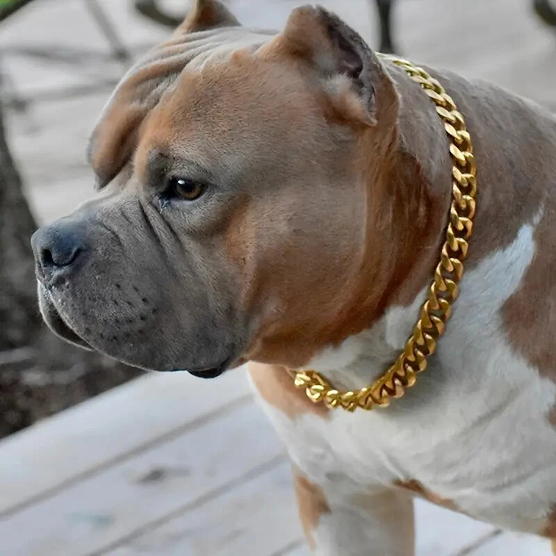 Collar Bling Cadena Cubana Mascota Perro Gato Acero Inoxidable 10mm 18" 20" 24" Foto 2 de 4