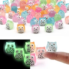 40 Pcs Luminous Mini Resin Owls, Glow in The Dark for Fairy Garden, Garden Minia