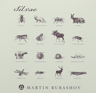Martin Rubashov - Among Silver (vinyl) main image 1