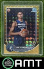 2025 Panini Joan Beringer Base (Raw)
