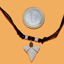 Collana Dente Squalo Pescecani Pesci Cartilaginei Squali Condroitti Selaci
