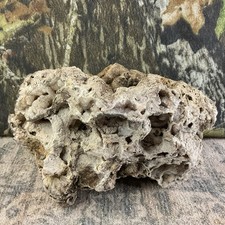 Missouri Druzy Quartz Natural Fossilized Coral Stone Crystal Natural Organic
