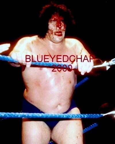 ANDRE THE GIANT WRESTLER 8 X 10 WRESTLING PHOTO NWA WWWF - Image 1 of 1