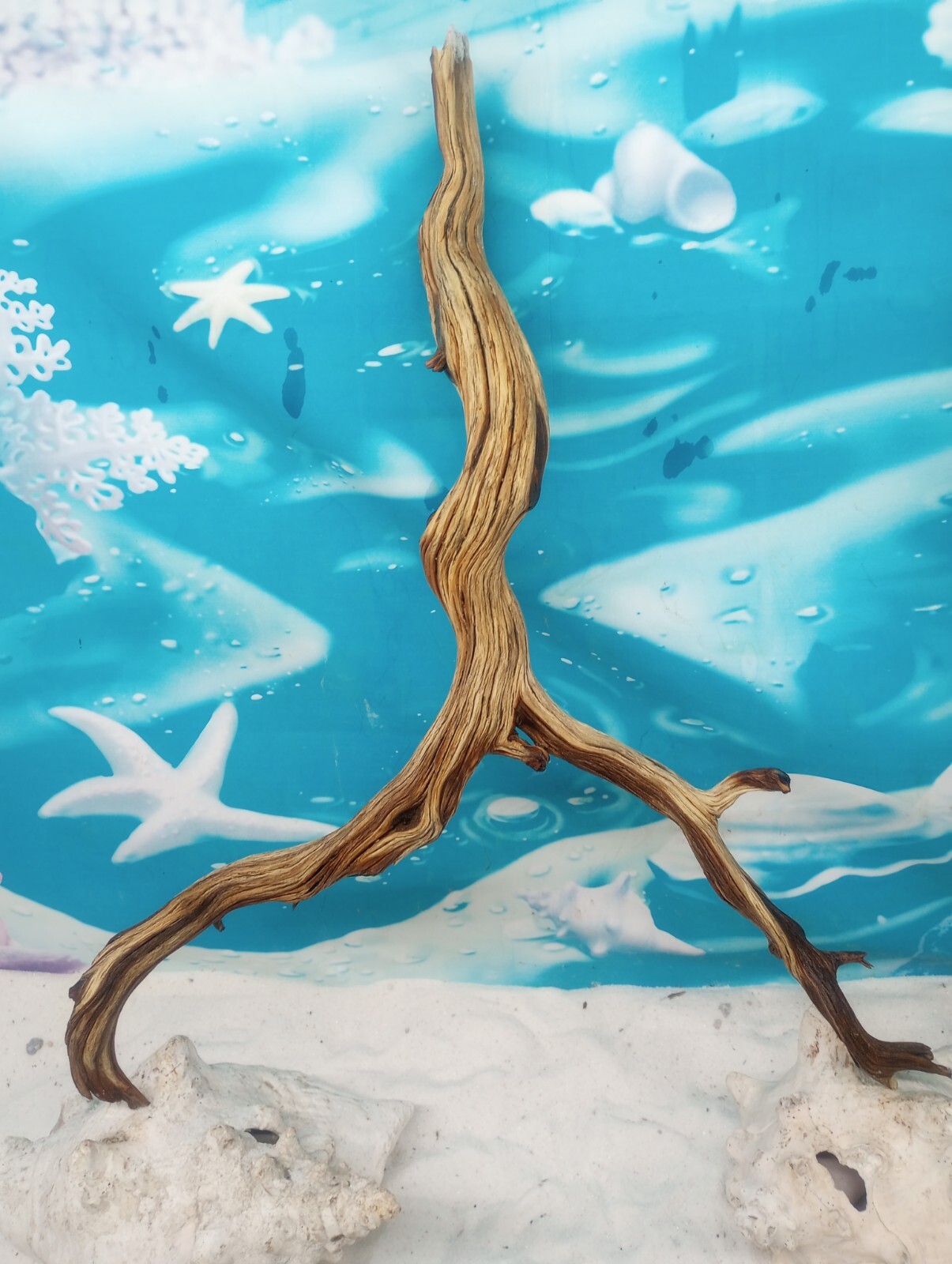 Manzanita driftwood premium aquarium wood aquascape decor reptiles bird