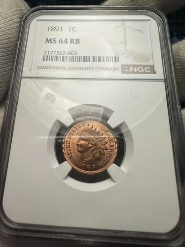 1891 Indian Head Cent NGC MS64 RB (RD)