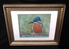 Kingfisher Pastel Original Illustration by Cynthia M. Wyard Framed and Signed