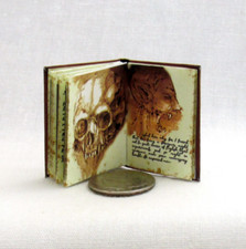 1:6 Scale VAN HELSING DIARY Readable Illustrated Miniature Book Playscale Vampir