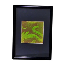 Snake Matted Hologram Picture, Collectible Polaroid Photopolymer Film