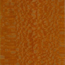Lacewood Quarter Sawn Veneer Wood Sheets