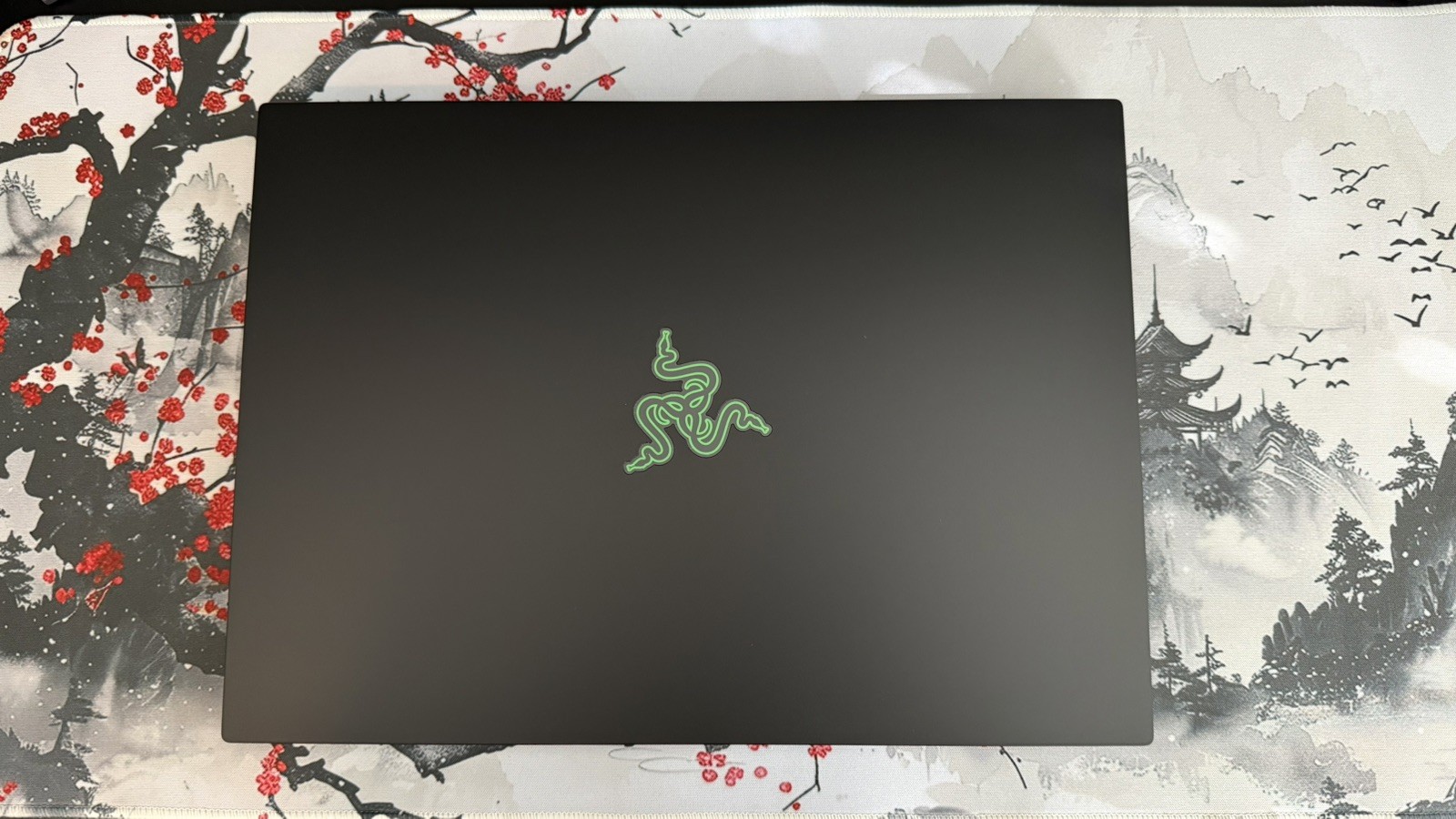 Razer Blade 14 Black 120Hz QHD+ Ryzen AI 9 365 32GB 1TB SSD RTX 5070
