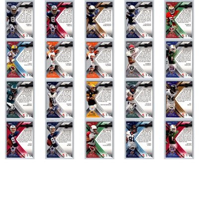 2008 UD NFL-Starquest Lot (20) T.O.,Moss,Willis,Reed,Fitz,Romo,LT,Ben - SP RARE