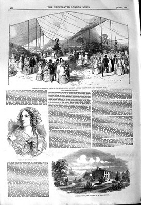 Alter antiker Druck 1850 American Plants Regent'S Jane Porter Kirche gerade 19.
