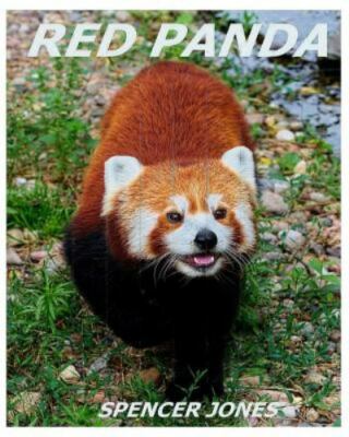 Red Panda : Learn About Red Pandas-Amazing Pictures & Fun Facts, Paperback by...