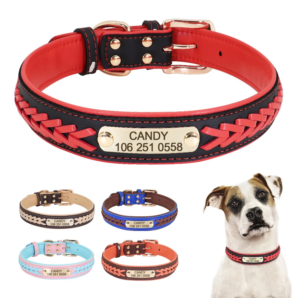 Custom pitbull dog collars sales