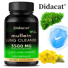 Mullein Capsules -Supports respiratory and bronchial function, enhances immunity