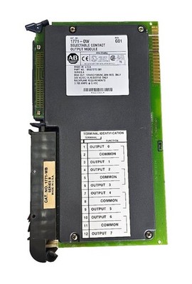 Allen-Bradley 1771-OW Revision G01 Selectable Contact Output Module