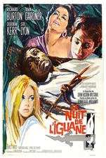 The Night of the Iguana 1964 - Richard Burton - France - Movie Poster